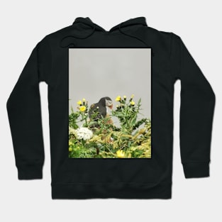 Puffin Hoodie